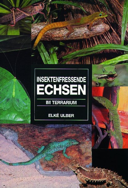 Insektenfressende Echsen