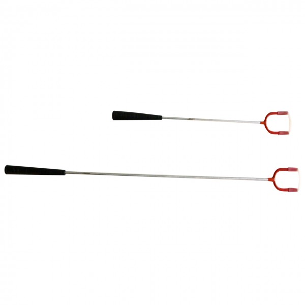 Lucky Reptile Snake Pin Hook