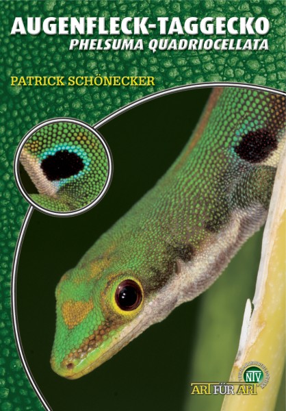 Der Augenfleck-Taggecko