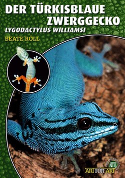 Der Türkisblaue Zwerggecko