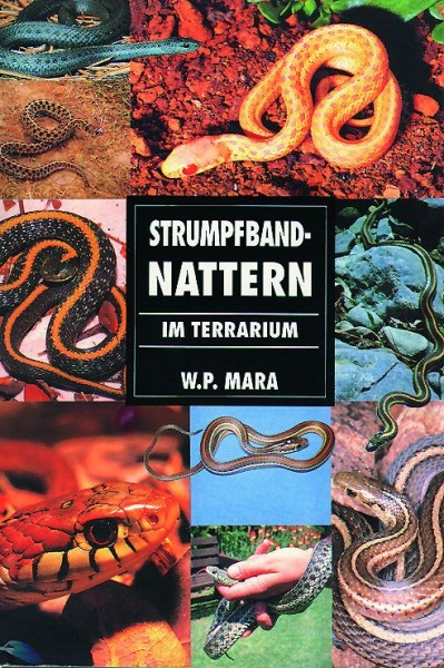 Strumpfbandnattern
