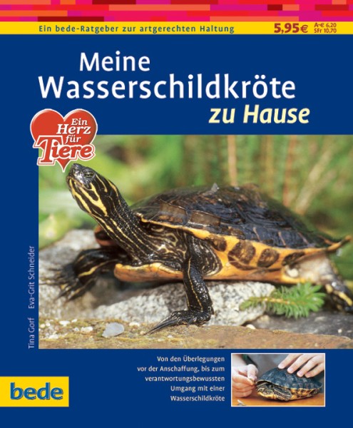 Meine Wasserschildkröte zu Hause