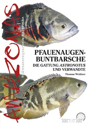 Pfauenaugenbuntbarsche im Süsswasseraquarium