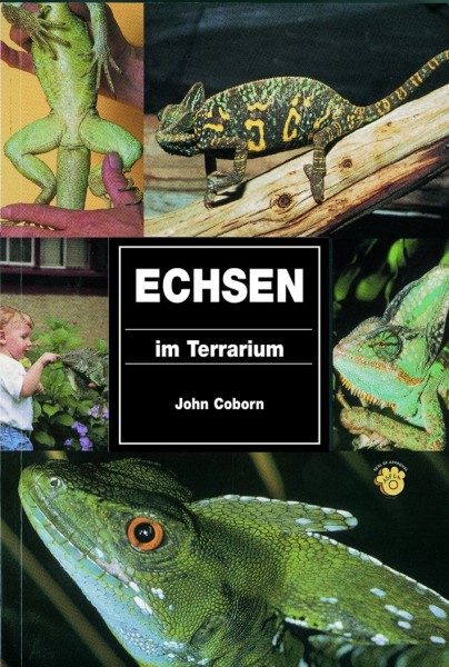 Echsen im Terrarium
