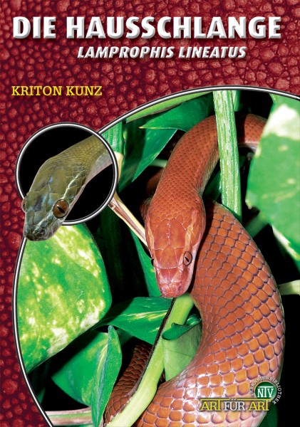 Die Hausschlange - Lamprophis lineatus