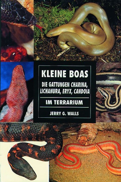 Kleine Boas im Terrarium