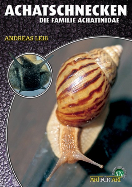 Achatschnecken