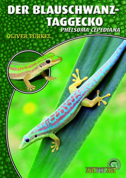 Der Blauschwanztaggecko