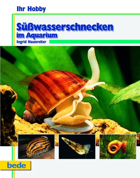 Ihr Hobby Süßwasserschnecken im Aquarium