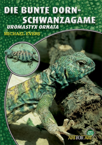 Die Bunte Dornschwanzagame