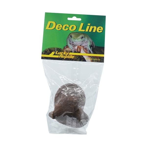Lucky Reptile "Rose von Jericho"