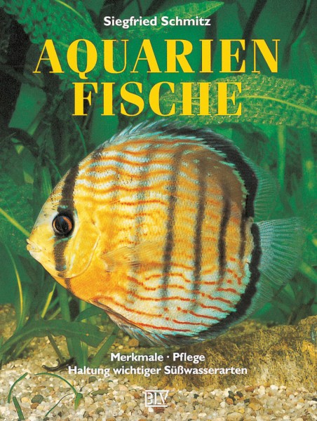 Aquarienfische, Schmitz