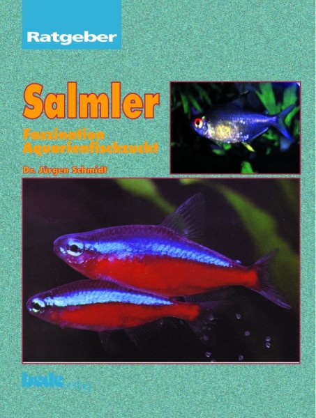 Ratgeber Salmler