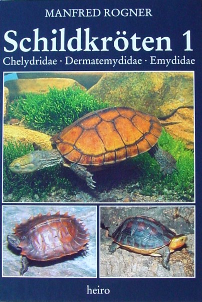 Schildkröten 1