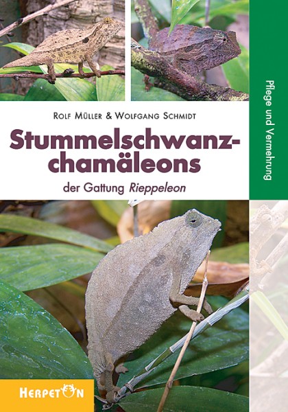 Stummelschwanzchamäleons