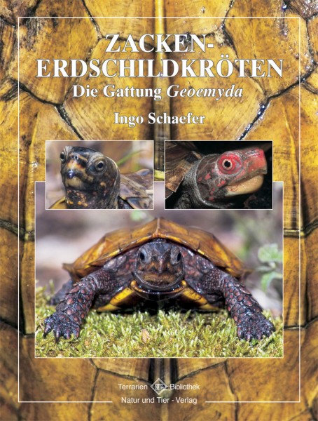 Zackenerdschildkröten
