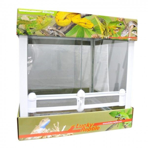 Lucky Reptile Herp-Tarrium "Swing"