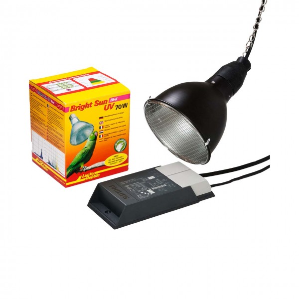 Lucky Reptile Bright Sun Bird Set