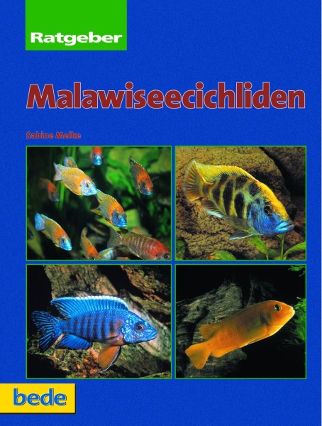 Ratgeber Malawiseecichliden