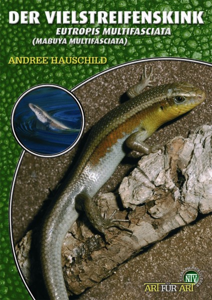 Der Vielstreifenskink