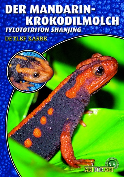 Der Mandarin-Krokodilmolch