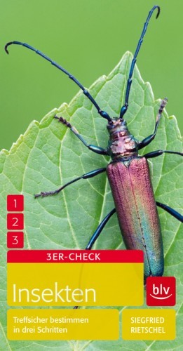 3er Check Insekten