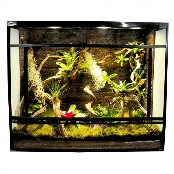 Lucky Reptile Herp-Tarrium