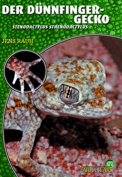 Der Dünnfingergecko