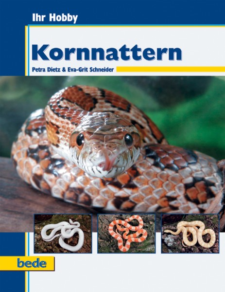 Ihr Hobby Kornnattern