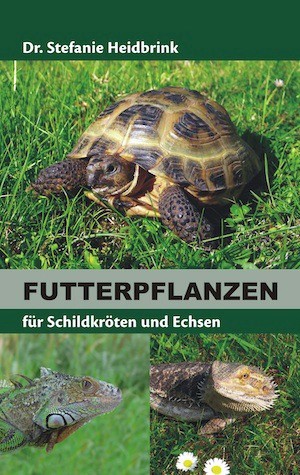 Futterpflanzen für Schildkröten und Echsen