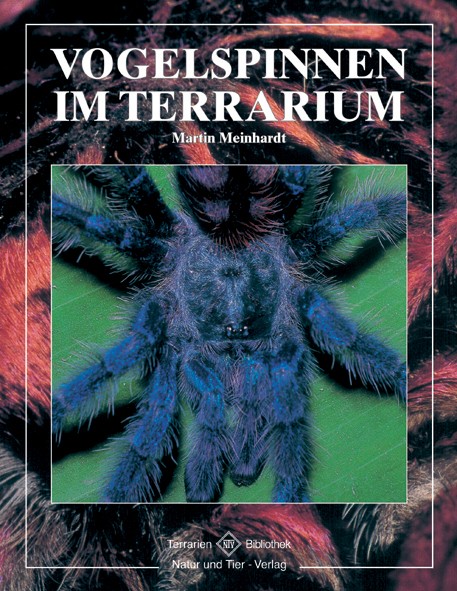 Vogelspinnen im Terrarium