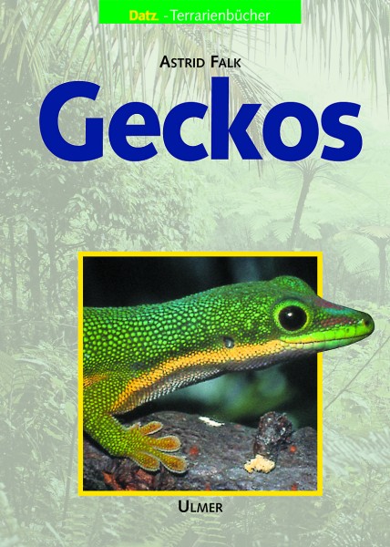 Geckos