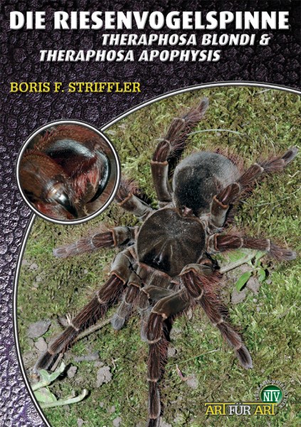Die Riesenvogelspinnen