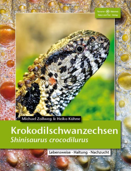 Krokodilschwanzechsen / Shinisaurus crocodilurus