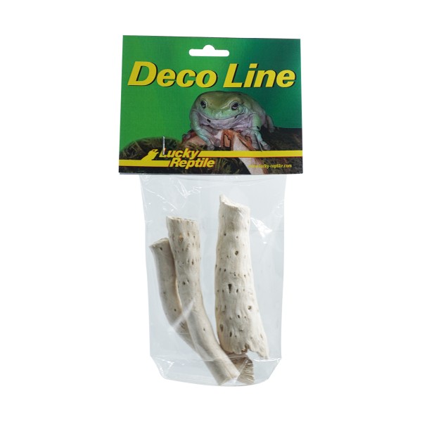Lucky Reptile "Rose von Jericho"