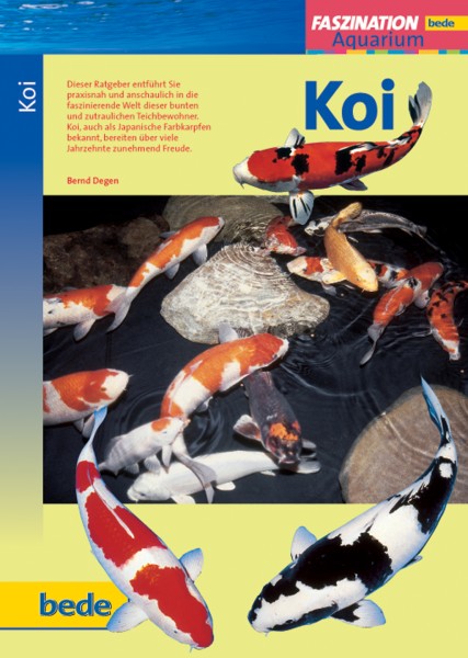 Faszination Koi
