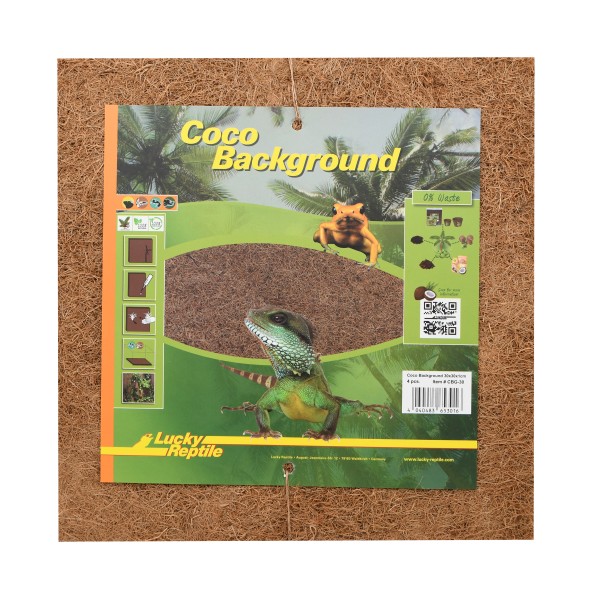 Lucky Reptile Coco Background