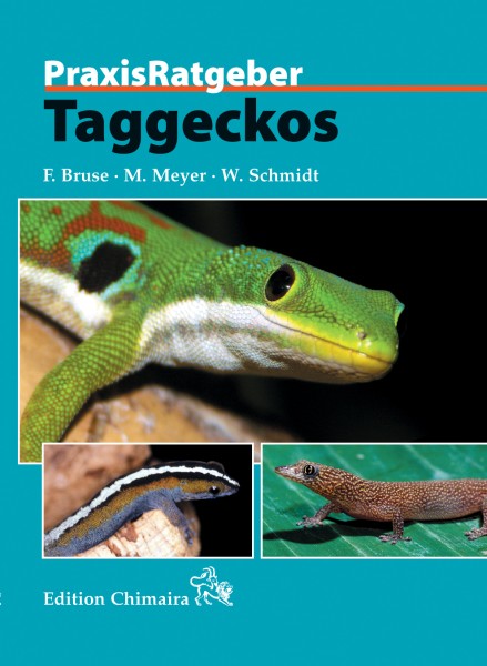 Praxisratgeber Taggeckos