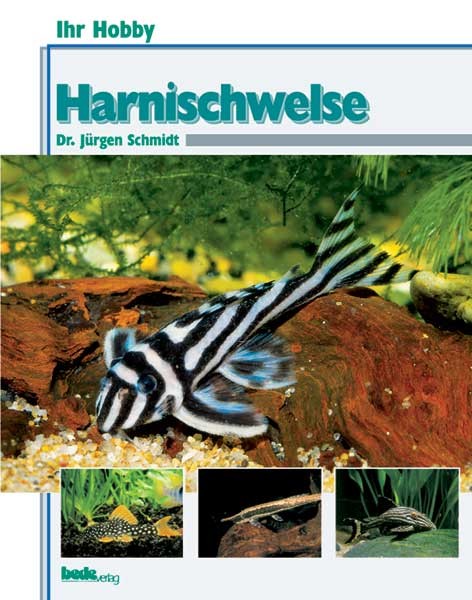 Ihr Hobby Harnischwelse