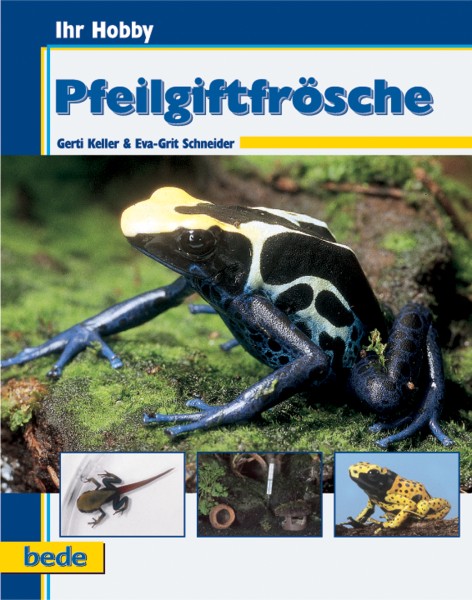 Ihr Hobby Pfeilgiftfrösche