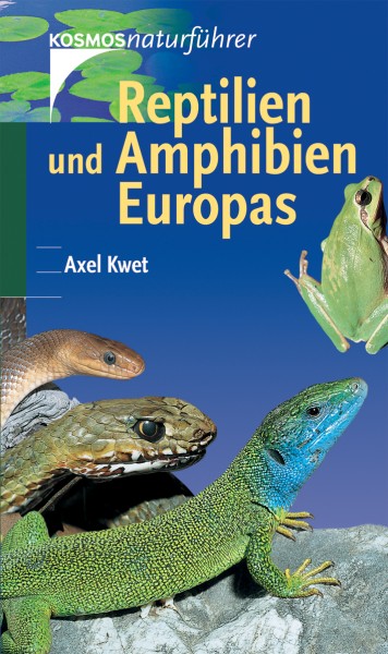 Reptilien und Amphibien Europas