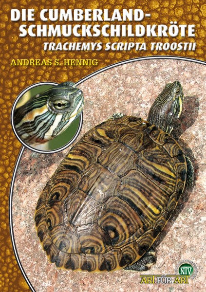 Cumberland Schmuckschildkröte