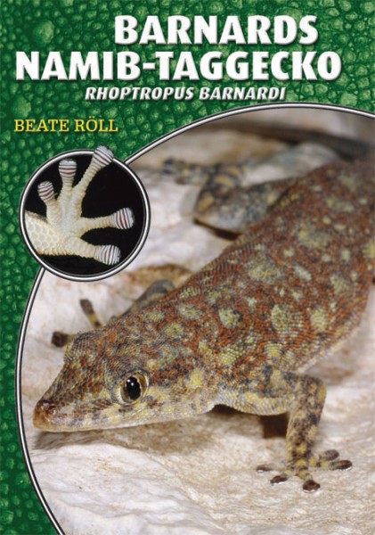 Barnads Namib-Taggecko