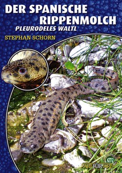 Der Spanische Rippenmolch