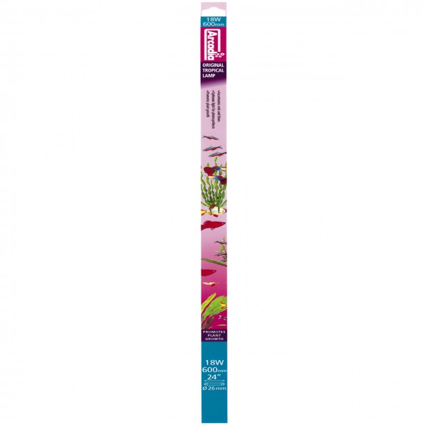 Arcadia Original Tropical