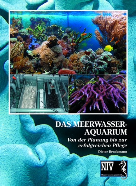 Das Meerwasseraquarium