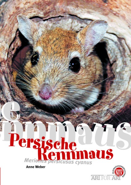 Persische Rennmaus