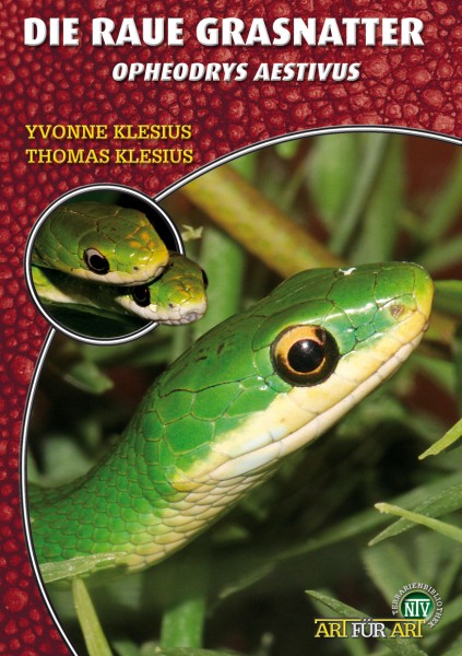 Rauhe Grasnatter