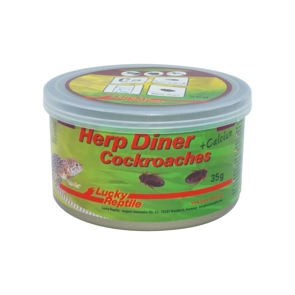 Lucky Reptile Herp Diner Insect Blend
