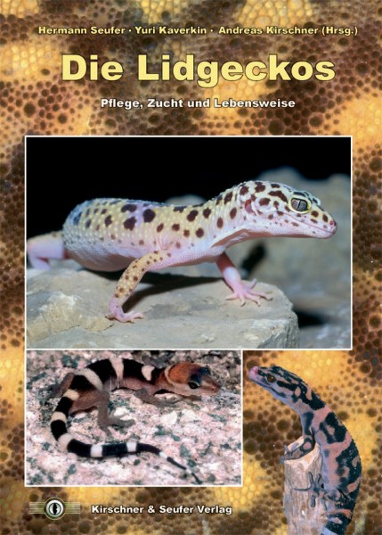 Die Lidgeckos